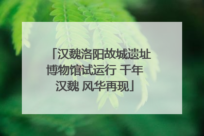 汉魏洛阳故城遗址博物馆试运行 千年汉魏 风华再现
