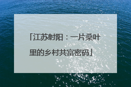 江苏射阳：一片桑叶里的乡村共富密码