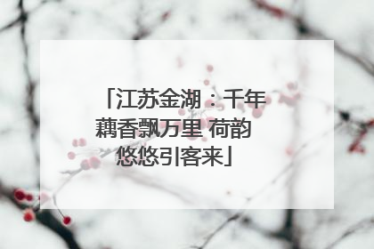 江苏金湖：千年藕香飘万里 荷韵悠悠引客来