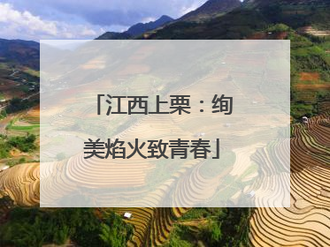 江西上栗：绚美焰火致青春