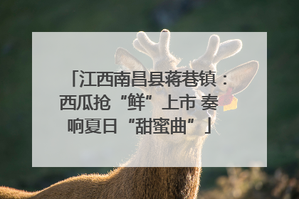 江西南昌县蒋巷镇：西瓜抢“鲜”上市 奏响夏日“甜蜜曲”