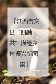 江西吉安县“四融一共”描绘乡村振兴新图景
