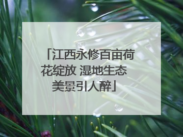 江西永修百亩荷花绽放 湿地生态美景引人醉