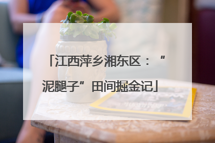 江西萍乡湘东区：“泥腿子”田间掘金记