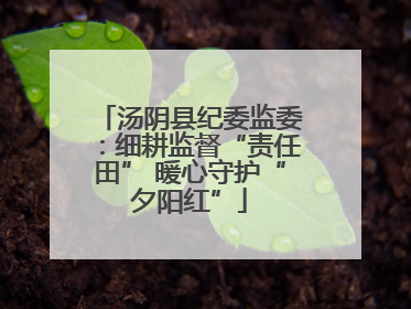 汤阴县纪委监委：细耕监督“责任田” 暖心守护“夕阳红”