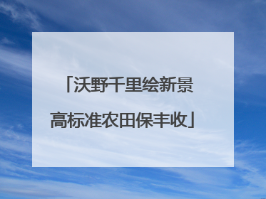 沃野千里绘新景 高标准农田保丰收