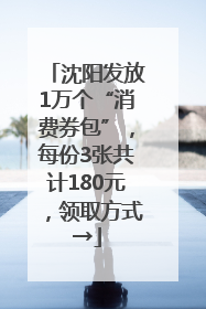 沈阳发放1万个“消费券包”，每份3张共计180元，领取方式→