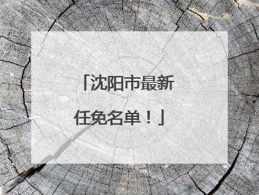 沈阳市最新任免名单！