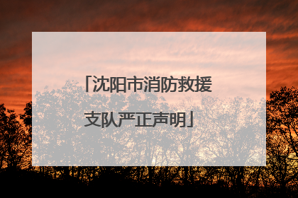 沈阳市消防救援支队严正声明