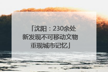 沈阳：230余处新发现不可移动文物重现城市记忆