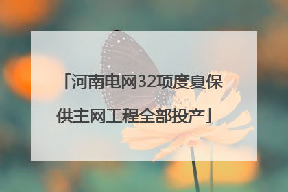 河南电网32项度夏保供主网工程全部投产