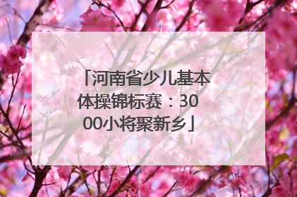 河南省少儿基本体操锦标赛：3000小将聚新乡