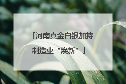 河南真金白银加持制造业“焕新”
