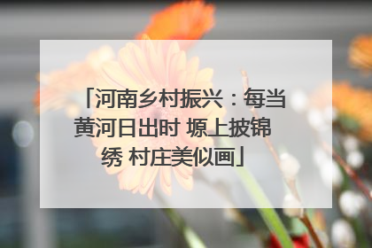 河南乡村振兴：每当黄河日出时 塬上披锦绣 村庄美似画