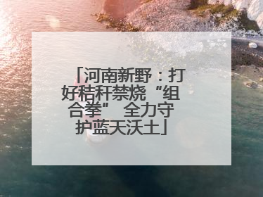 河南新野：打好秸秆禁烧“组合拳” 全力守护蓝天沃土