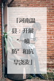 河南温县：开展“一喷三防”和抗旱浇麦