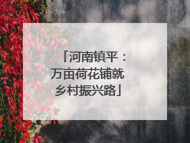 河南镇平：万亩荷花铺就乡村振兴路