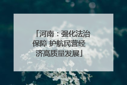 河南：强化法治保障 护航民营经济高质量发展