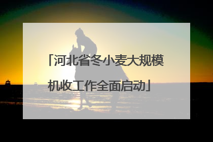 河北省冬小麦大规模机收工作全面启动