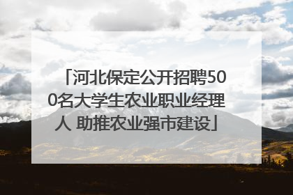 河北保定公开招聘500名大学生农业职业经理人 助推农业强市建设