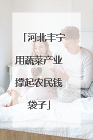 河北丰宁用蔬菜产业撑起农民钱袋子