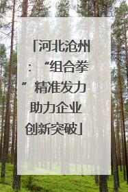 河北沧州：“组合拳”精准发力 助力企业创新突破