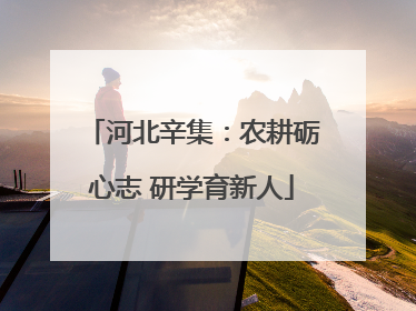 河北辛集：农耕砺心志 研学育新人