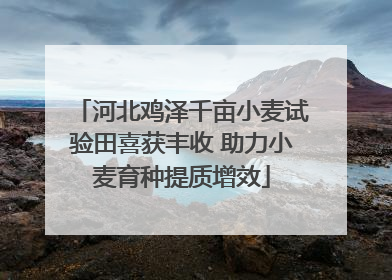 河北鸡泽千亩小麦试验田喜获丰收 助力小麦育种提质增效