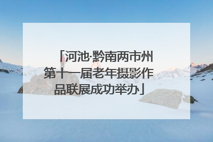 河池·黔南两市州第十一届老年摄影作品联展成功举办