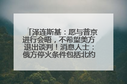 泽连斯基：愿与普京进行会晤，不希望美方退出谈判！消息人士：俄方停火条件包括北约“书面”保证不东扩