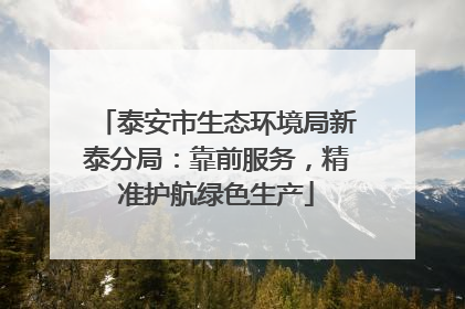 泰安市生态环境局新泰分局：靠前服务，精准护航绿色生产