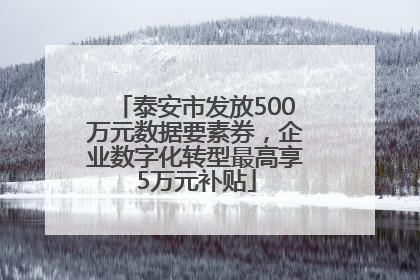 泰安市发放500万元数据要素券，企业数字化转型最高享5万元补贴