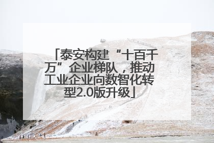 泰安构建“十百千万”企业梯队，推动工业企业向数智化转型2.0版升级