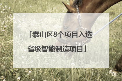 泰山区8个项目入选省级智能制造项目