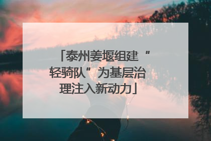 泰州姜堰组建“轻骑队”为基层治理注入新动力