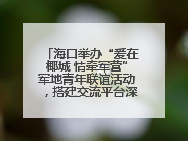 海口举办“爱在椰城 情牵军营”军地青年联谊活动，搭建交流平台深化双拥工作