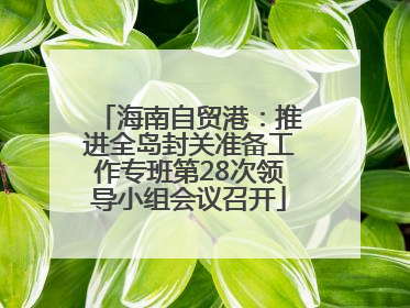 海南自贸港：推进全岛封关准备工作专班第28次领导小组会议召开