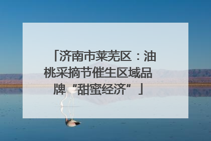 济南市莱芜区：油桃采摘节催生区域品牌“甜蜜经济”