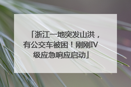 浙江一地突发山洪，有公交车被困！刚刚Ⅳ级应急响应启动