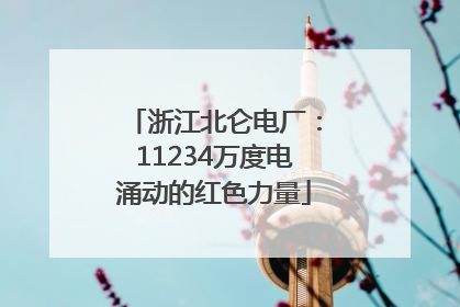 浙江北仑电厂：11234万度电涌动的红色力量