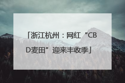 浙江杭州：网红“CBD麦田”迎来丰收季