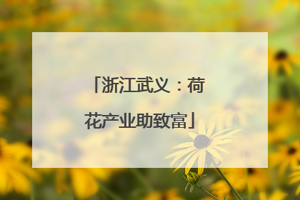 浙江武义：荷花产业助致富