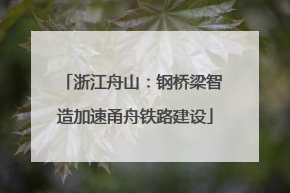 浙江舟山：钢桥梁智造加速甬舟铁路建设