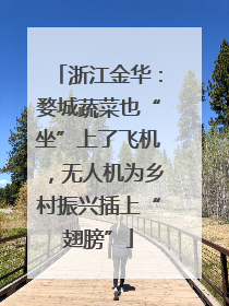 浙江金华：婺城蔬菜也“坐”上了飞机，无人机为乡村振兴插上“翅膀”