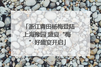 浙江青田杨梅登陆上海豫园 盛夏“梅”好盛宴开启