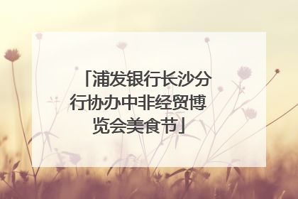 浦发银行长沙分行协办中非经贸博览会美食节