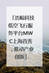 浩鲸科技低空飞行服务平台MWC上海首秀，推动产业创新