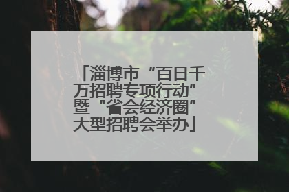 淄博市“百日千万招聘专项行动”暨“省会经济圈”大型招聘会举办