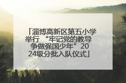 淄博高新区第五小学举行 “牢记党的教导 争做强国少年”2024级分批入队仪式