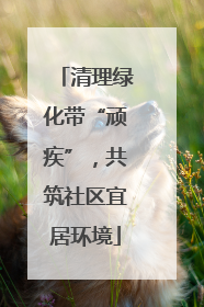 清理绿化带“顽疾”，共筑社区宜居环境